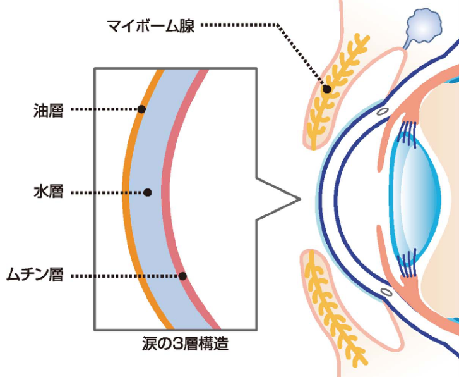 ドライアイとは